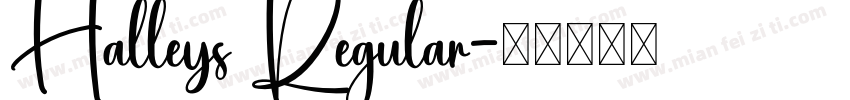 Halleys Regular字体转换
